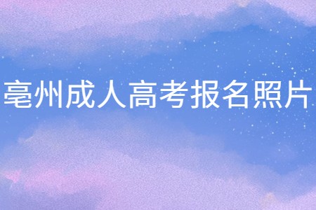 亳州成人高考报名照片