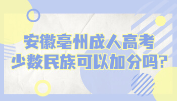 安徽亳州成人高考少数民族可以加分吗?