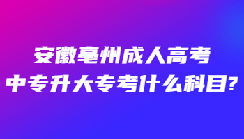 安徽亳州成人高考中专升大专考什么科目?