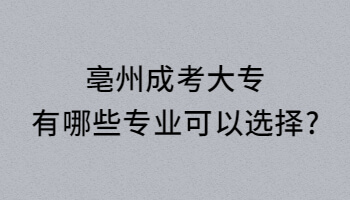 亳州成考大专有哪些专业可以选择?