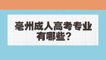 亳州成人高考专业有哪些?