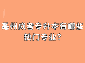 亳州成考专升本有哪些热门专业