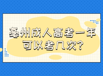 亳州成人高考一年可以考几次