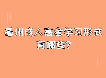 亳州成人高考学习形式有哪些