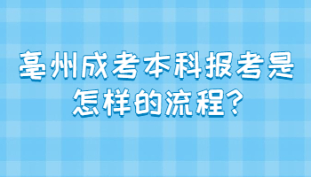 亳州成考本科报考是怎样的流程